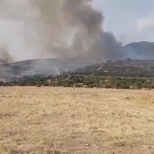 image-241896 kozan.gr: Ώρα 17.40: Νέα κοντινά πλάνα από τον κύριο μέτωπο της φωτιάς κοντά στην περιοχή Λεύκαρα Σερβίων