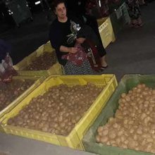 image-242512 Εκδήλωση με άριστες εντυπώσεις και πλήθος κόσμου συμμετοχής στη γιορτή πατάτας στο Καπνοχώρι Κοζάνης (του Κοντού Ναπολέοντα)