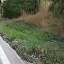 image-243764 kozan.gr: Ντροπιαστική η κατάσταση στην πεζο-διαδρομή που χρησιμοποιούν οι φοιτητές – κι όχι μόνο – από την έξοδο της πόλης (Κοζάνης) μέχρι το ΤΕΙ Δ. Μακεδονίας στα Κοίλα (Βίντεο)
