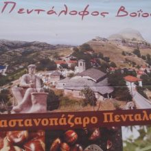 image-249950 14ο Καστανοπάζαρο Πενταλόφου Βοΐου, την Κυριακή 3 Νοεμβρίου