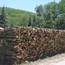 image-250353 Προβλήματα με τη διάθεση καυσόξυλων στα χωριά της ορεινής ζώνης των Καμβουνίων