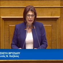 image-252275 Ομιλία της Παρασκευής Βρυζίδου Βουλευτή Π.Ε. Κοζάνης στην Ολομέλεια της Βουλής των Ελλήνων για το Νομοσχέδιο: “Επενδύω στην Ελλάδα και άλλες διατάξεις” στις 23/10 (Bίντεο)