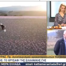 image-253685 Η χθεσινή ζωντανή σύνδεση της εκπομπής «Κάθε Μέρα Ελλάδα» της ΕΡΤ3 με τα κροκοχώραφα της Κοζάνης (Βίντεο)