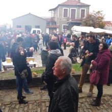 image-254050 Δωρεάν κάστανα, καλό κρασί και πολύς κόσμος στο 14ο καστανοπάζαρο Πενταλόφου (Bίντεο & Φωτογραφίες)