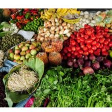 image-254471 Συνεχίζεται και το 2019 – 2020 μετά από ολιγόμηνη διακοπή η επιτυχημένη δράση του Γ.Κ. ΣΥΝΕΤΑΙΡΙΣΜΟΥ ”ΑΛΙΑΚΜΩΝ” «Κυριακή χωρίς Μεσάζοντες» – ΚΥΡΙΑΚΗ 10 ΝΟΕΜΒΡΙΟΥ, από τις 8 το πρωί έως και τις 2 το μεσημέρι στο χώρο δίπλα από τον σιδηροδρομικό σταθμό