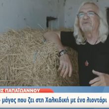 image-254601 Ο “ξανθός” μάγος που ζει στη Χαλκιδική με ένα λιοντάρι (Bίντεο)