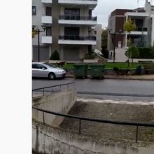 image-254800 Σχόλιο γονέα στο kozan.gr: Κοζάνη: Αδέσποτα παντού: Σήμερα, ακριβώς έξω από 2ο και 5ο Γυμνάσιο. Ώρα προσέλευσης μαθητών (Bίντεο)