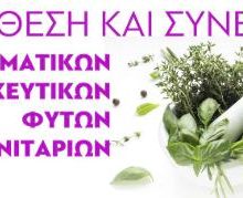 image-256195 2η Έκθεση & Συνέδριο Αρωματικών, Φαρμακευτικών Φυτών και Μανιταριών – Πρόσκληση Συμμετοχής σε Επιχειρηματικές Συναντήσεις (B2B) – Εκθεσιακό Κέντρο Δυτικής Μακεδονίας, Κοζάνη, 29-30 Νοεμβρίου & 1 Δεκεμβρίου 2019