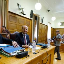 image-256989 Βουλή: Διάσταση απόψεων μεταξύ διοίκησης και εργαζομένων της ΔΕΗ