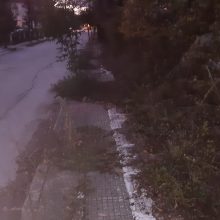 image-258804 Kozan.gr: Κοζάνη: Απροσπέλαστα πεζοδρόμια, λόγω αγριόχορτων, σε κάθετο δρόμο, επί της οδού Ιωνίας, πλησίον της σιδερένιας γέφυρας, προς Κρόκο (Φωτογραφίες)