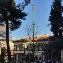 image-259021 kozan.gr: Η σημερινή δύσκολη κοπή της κορυφής πολύ ψηλού δέντρου στο Επισκοπείο της Κοζάνης(Bίντεο)