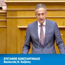 image-259949 Παγκόσμια Ημέρα ατόμων με αναπηρία ΑμεΑ : Το μήνυμα του Βουλευτή ΝΔ Π.Ε. Κοζάνης, Στάθη Κωνσταντινίδη