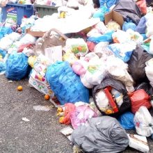 image-266901 Εορδαία: Nα ακυρώσει το Δημοτικό Συμβούλιο την απόφαση της έλευσης σκουπιδιών από την Κέρκυρα