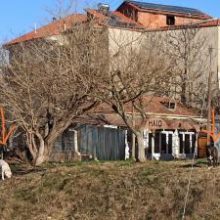 image-268442 Επιστολή αναγνώστη στο kozan.gr: “Μια εικόνα αρκεί για να περιγράψει την κατάσταση με τα αδέσποτα στο Δ.Δ Δρεπάνου”