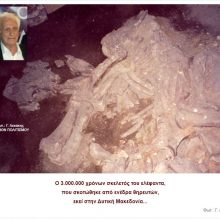 image-269420 kozan.gr: Ποιο κόμμα κατέθεσε ερώτηση, στις 17/1/2020, για τον “Ελέφαντα του Περδίκκα Πτολεμαΐδας”; – Τι ζητά να πληροφορηθεί και με αφορμή ποιο γεγονός;