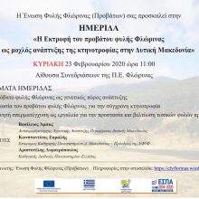 image-276870 Φλώρινα: Ημερίδα “Η εκτροφή προβάτου φυλής Φλώρινας ως μοχλός ανάπτυξης της κτηνοτροφίας στην Δυτική Μακεδονία”, την Κυριακή 23 Φεβρουαρίου