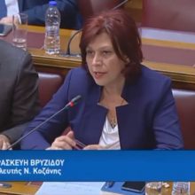 image-277452 Ομιλία Π. Βρυζίδου Βουλευτή Ν. Κοζάνης ΝΔ για το νέο Ασφαλιστικό στη Διαρκή Επιτροπή Κοινωνικών Υποθέσεων και τη Διαρκή Επιτροπή Οικονομικών Υποθέσεων σε κοινή συνεδρίαση (Bίντεο)