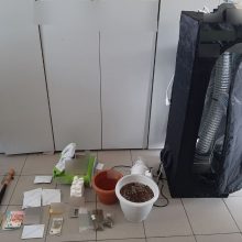 image-278328 Σύλληψη πέντε ατόμων για παραβάσεις της νομοθεσίας περί ναρκωτικών και περί όπλων στη Φλώρινα