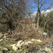 image-279528 Δήμος Βοΐου: Είναι κανείς εκεί; (Γράφει η Ελένη Καρακίτσου)