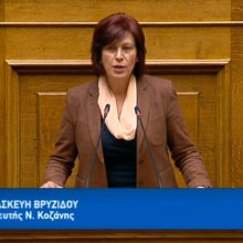 image-280954 Η Παρασκευή Βρυζίδου Βουλευτή Ν. Κοζάνης ΝΔ για την κρίση στα σύνορά μας