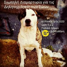 image-281113 Πτολεμαΐδα: Σιωπηρή διαμαρτυρία την Κυριακή 8/3 στο παλαιό πάρκο