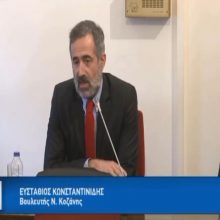 image-281809 Τοποθέτηση του βουλευτή Ν. Κοζάνης Στάθη Κωνσταντινίδη στην Επιτροπή Παρακολούθησης των Αποφάσεων του ΕΔΔΑ: Ο ΣΥΡΙΖΑ θα διατηρούσε το δικαίωμα ασύλου!” (Βίντεο)