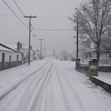 image-282461 kozan.gr: Λευκές εικόνες από την Βλάστη Εορδαίας μετά την απογευματινή χιονόπτωση (Φωτογραφίες)