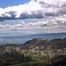 image-282670 Δαμασκηνιά βάστα γερά… (Γράφει ο Σωτήρης Μήλιος)