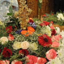 image-283350 Επιστολή διαμαρτυρίας, από αναγνώστη του kozan.gr