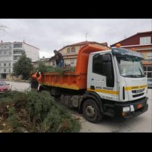 image-285594 Εργασίες απομάκρυνσης των επικίνδυνων κλαδιών από δένδρα, που έσπασαν από την χιονόπτωση, ξεκίνησε ο Δήμος Εορδαίας