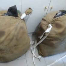 image-287828 Εντοπίστηκαν σε περιοχή της Φλώρινας 26 κιλά και 714 γραμμάρια ακατέργαστης κάνναβης (Φωτογραφία)