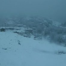image-287990 To ‘στρωσε σε Βλάστη, Πεντάλοφο και Καταφύγι – Δείτε ζωντανή εικόνα