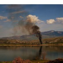 image-288825 Εναέριες εικόνες: Θερίζει την ορνιθοπανίδα της Βεγορίτιδας η διαχρονική καύση καλαμιώνων