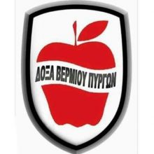 image-289922 Άνοδος στην Α’ Ερασιτεχνική για την Δόξα Βερμίου Πύργων