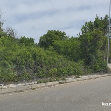 image-290243 kozan.gr: Από τους πολίτες ζητούν να αποφεύγουν το συγχρωτισμό, όμως σ’ έναν από τα πιο πολυσύχναστα σημεία, μεταξύ Κοζάνης – Αργίλου, που καθημερινά υπάρχουν πολλοί περιπατητές, τα πεζοδρόμια της απέναντι πλευράς είναι γεμάτα χόρτα (Φωτογραφίες)