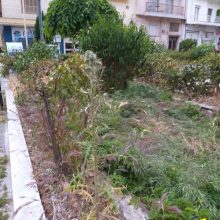 image-292315 kozan.gr: Σχόλιο συμπολίτισσας, από την Κοζάνη, για την πλατεία Γιολδάση: ” Ζουν στην πόλη μας οι άρχοντες ή μετακόμισαν;”
