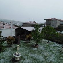 image-292571 kozan.gr: Άσπρισε, από το χαλάζι, το Λιβαδερό του Δήμου Σερβίων (Φωτογραφία)