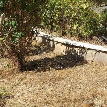 image-293001 Mετά την ανάδειξη του θέματος από το kozan.gr, κόπηκαν τα χόρτα στην Πλατεία Γιολδάση στην Κοζάνη (Φωτογραφίες)