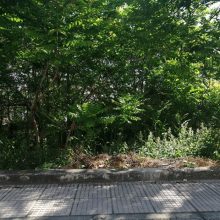 image-293425 Αναφορά αναγνώστη στο kozan.gr για χόρτα και θάμνους σε οικόπεδο επί της οδού στην οδό Πλάτωνος στην Κοζάνη
