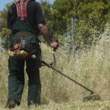 image-293998 Καθαρισμός οικοπέδων και λοιπών ακάλυπτων χώρων του Δήμου Εορδαίας – Ειδοποίηση για τους ιδιοκτήτες