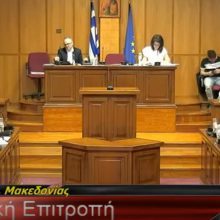 image-293833 Π.Ε. Φλώρινας: Ενεργοποίηση της Χρηματοδότησης για τη Βελτίωση του Οδικού Τμήματος ΤΕΙ – Χιονοδρομικό του Άξονα Φλώρινα – Ανταρτικό – Πρέσπες (Βίντεο)