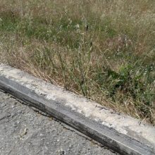 image-293958 Επισήμανση αναγνώστη στο kozan.gr για επικίνδυνα σίδερα που προεξέχουν από τσιμεντένιο διαχωριστικό λίγο πριν την είσοδο της πόλης των Σερβίων (Φωτογραφίες)