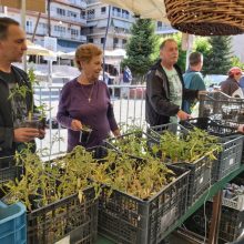 image-294287 Δήμος Γρεβενών: Mε επιτυχία η εκδήλωση της δωρεάν διάθεσης Παραδοσιακών Σπόρων και Φυτών στην Κεντρική Πλατεία