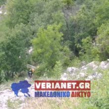 image-294310 Θανατηφόρο δυστύχημα στον παλαιό δρόμο Βέροιας – Κοζάνης μετά την Καστανιά – Σε γκρεμό βάθους 150 μέτρων I.X. – Νεκρός ο 34χρονος οδηγός