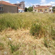 image-295072 Επιστολή αναγνώστη kozan.gr: Δημοτική (ή ιδιωτική) έκταση, στην οδό Ακροκεραυνίων στην Κοζάνη, έχει μεταμορφωθεί σ’ ένα απέραντο λιβάδι (Φωτογραφίες)