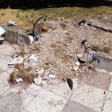 image-296244 kozan.gr: Koζάνη: Επιστολή αναγνώστριας: Αν αυτό δεν είναι υποβάθμιση, τότε τι είναι; Παρκάκι στην οδό Χαλκιδικής (περιοχή κάτω από το Νοσοκομείο)