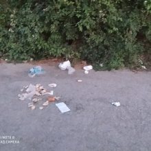 image-297055 Σχόλιο αναγνώστη στο kozan.gr: Περιττώματα, σκουπίδια, αποφάγια, και πεταμένα χαρτιά στο χώρο του Νιάημερου στην Κοζάνη. Το γιατί ας το αναζητήσουν οι αρμόδιοι (Φωτογραφίες)
