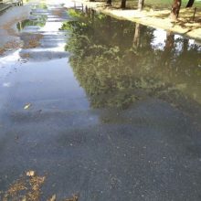 image-297924 kozan.gr: Αγανακτισμένοι οι κάτοικοι στον οικισμό Νέας Καρδιάς Κοζάνης – Κάθε φορά, μετά από έντονη βροχόπτωση, πλημμυρίζουν κεντρικοί δρόμοι του χωριού – Κανένα ενδιαφέρον από τους αρμοδίους (Βίντεο & Φωτογραφίες)