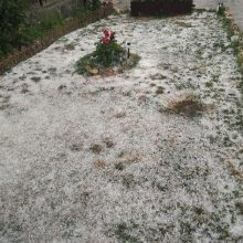 image-297990 kozan.gr: Άσπρισαν, από το χαλάζι, οι αυλές στο Δροσερό Εορδαίας – Έντονη βροχόπτωση και χαλαζόπτωση και στην Ολυμπιάδα (Φωτογραφίες & Βίντεο)