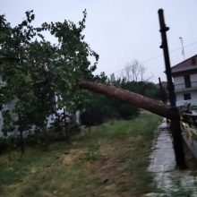 image-298000 kozan.gr: Ολυμπιάδα Εορδαίας: Λόγω της κακοκαιρίας, έπεσε δέντρο, πάνω σε σπίτι (Φωτογραφίες)